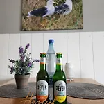 Moewennest *