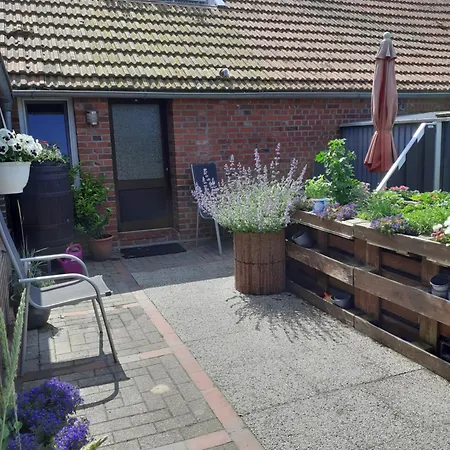 Moewennest